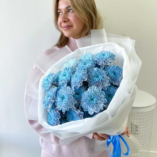 Bouquet of blue bush chrysanthemums