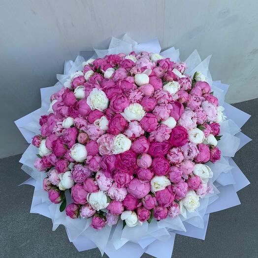 Bouquet of 101 peonies mix