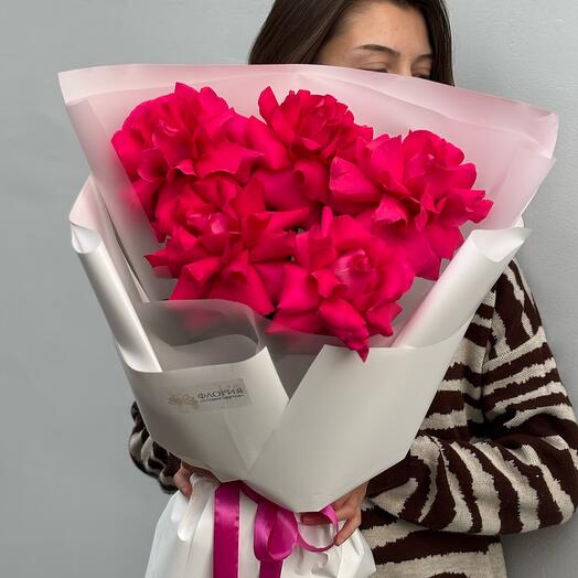 Pink Floyd XL French rose fuchsia