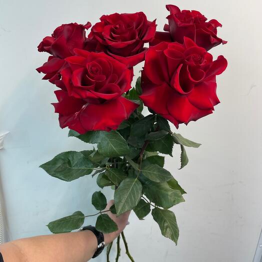 Французская роза 5 штук💞