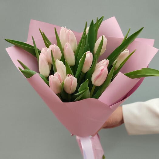 19 Pink Tulips