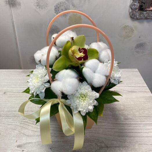 Orchid and cotton
