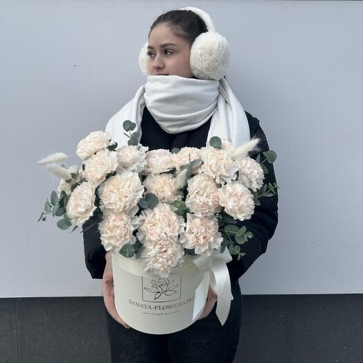 Диантусы 🎀