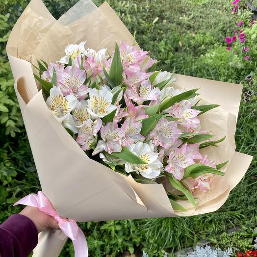 9 Alstroemeria