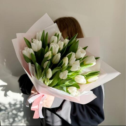 Букет из 25 белых голландских тюльпанов