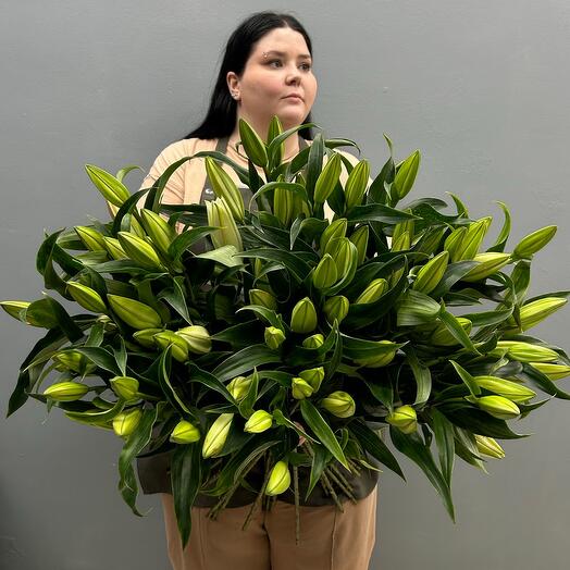 Букет из 21шт Лилий