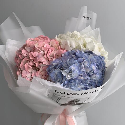 Bouquet of hydrangeas