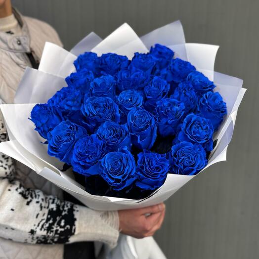 Синии розы Голландия
