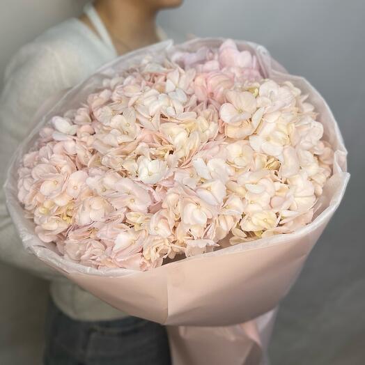 Airy bouquet of 5 pink hydrangeas