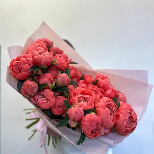 35 пионов корал