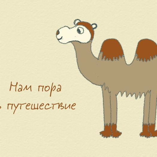 Открытка "Верблюд"