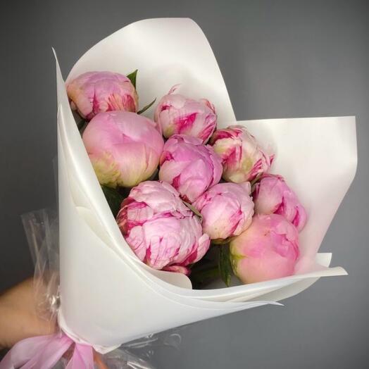 Пионы Сара Бернар 🎀