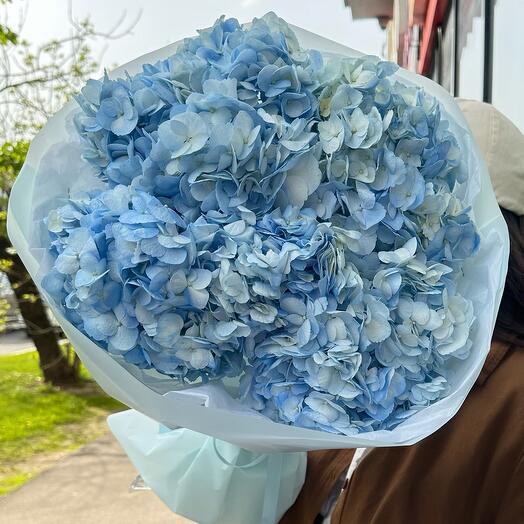 Blue hydrangea, a bouquet of hydrangeas