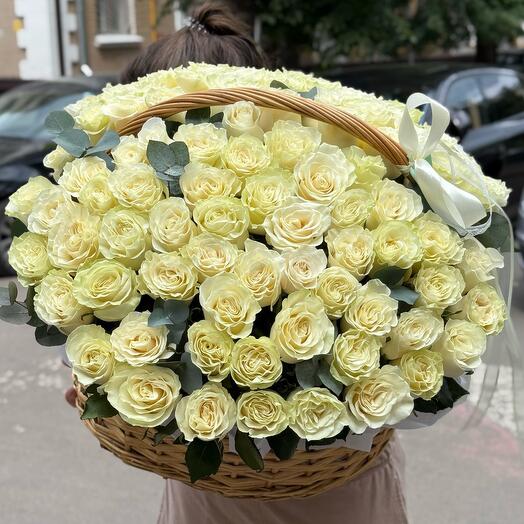 Huge basket of 101 Ecuadorian Roses