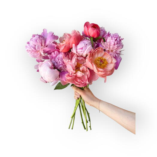 Hollywood Visionary bouquet, Peony