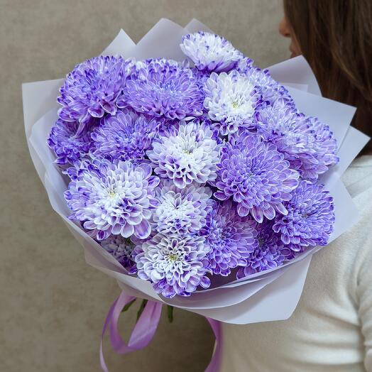 Хризантемы кустовые 5 шт