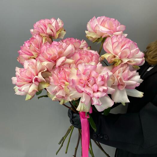 Роза 11 штук на ленте