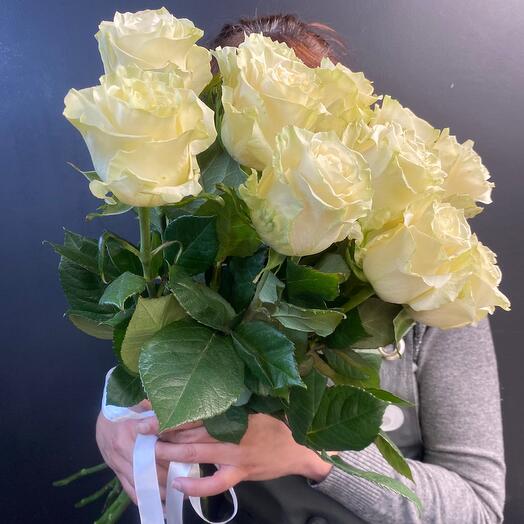 Роза белая Мондиаль 60 см