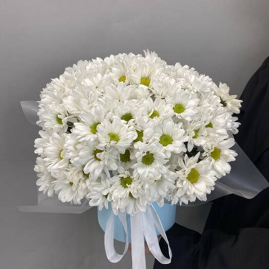 Большой бокс с кустовой хризантемой