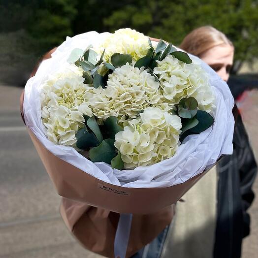 Гортензия 5 шт белая