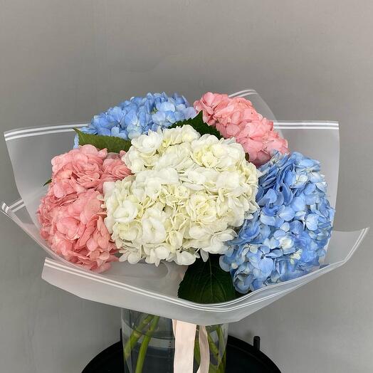 Гортензия микс 5 штук в упаковке