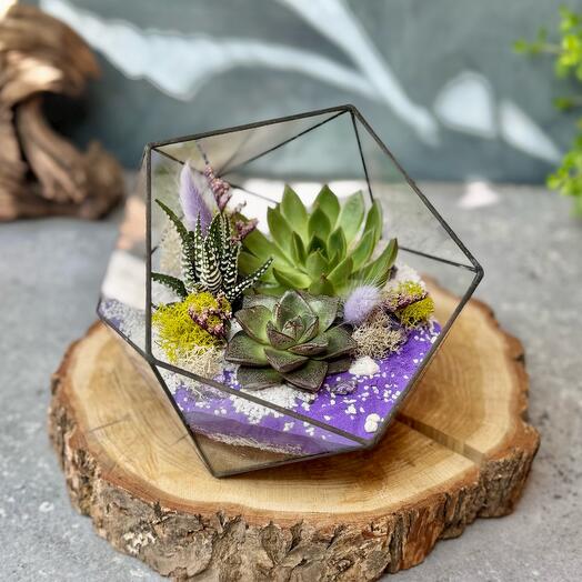 Icosahedron M purple - 069