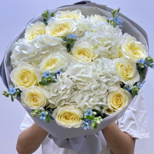 Небесная гармония