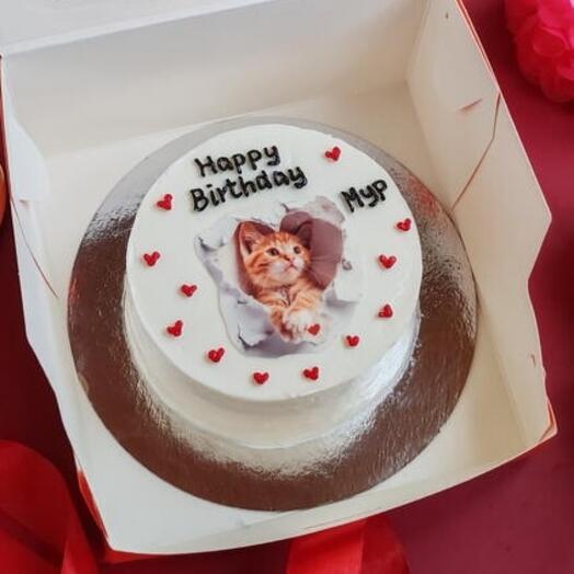 Бенто-торт смешной котик на день рождения Happy birthday