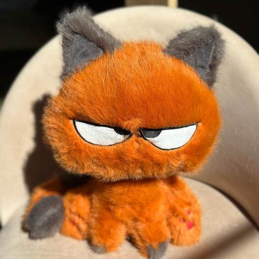 Кот Гарфилд🧡