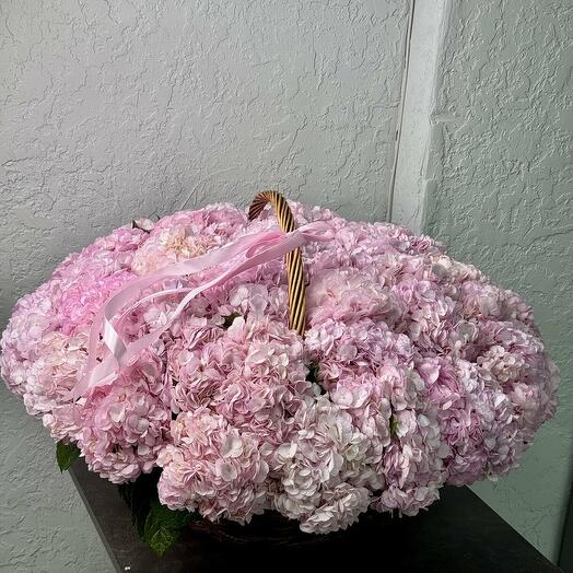 Корзина с пышными розовыми гортензиями