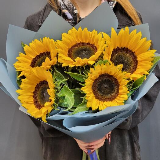 Яркие подсолнухи 🌻