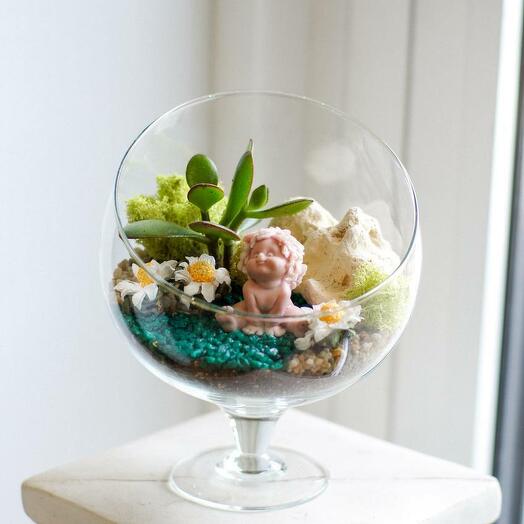 Флорариум с суккулентами "Ангел"