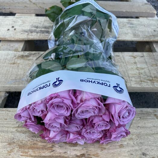 Пачка (15 штук) роз 50 см, Маритим