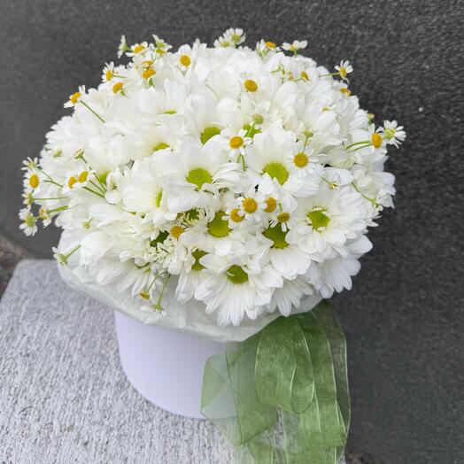 Цветы в коробке милые стойкие ромашки хризантема