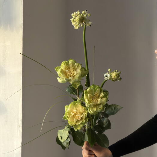 Розы вегги(veggie), орнитогалум и берграс