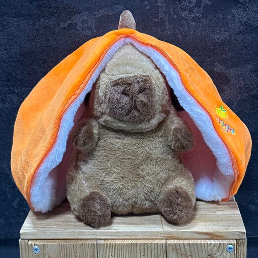 Капибара апельсин