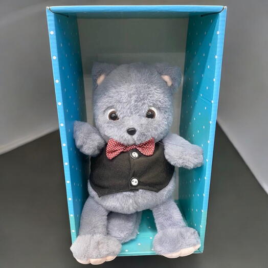 Игрушка в коробке