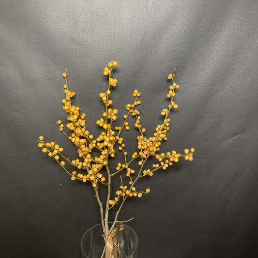 Ветки желтого Илекса с ягодами