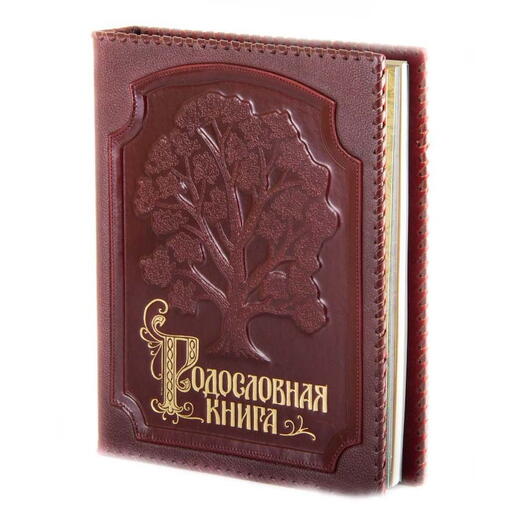 Libro familiar "Exquisito" trenzado en cubierta de cuero genuino