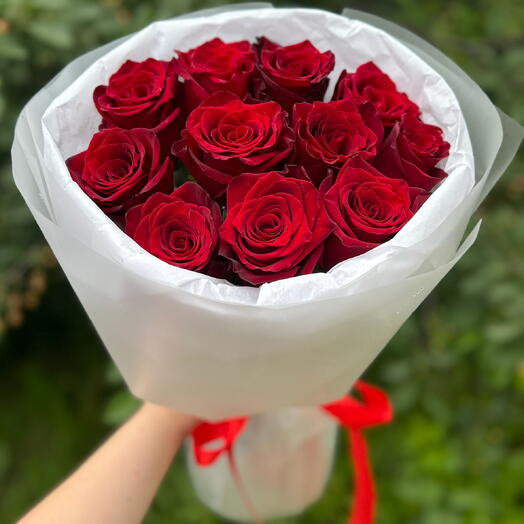 Красные розы 🌹🌹🌹