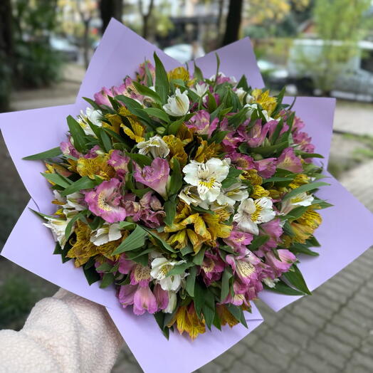 31 разноцветная альстромерия
