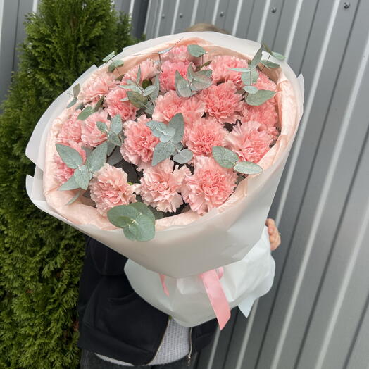 Диантусы 19 шт 💐