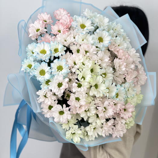 Букет из хризантемы ромашка 13 шт 🌸