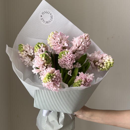 Mono bouquet of hyacinths