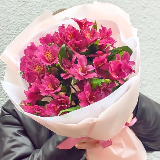 Alstroemeria 7