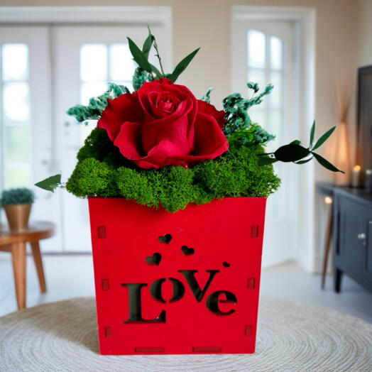 Композиция со стабилизированной красной розой и мхом в кашпо «Love»