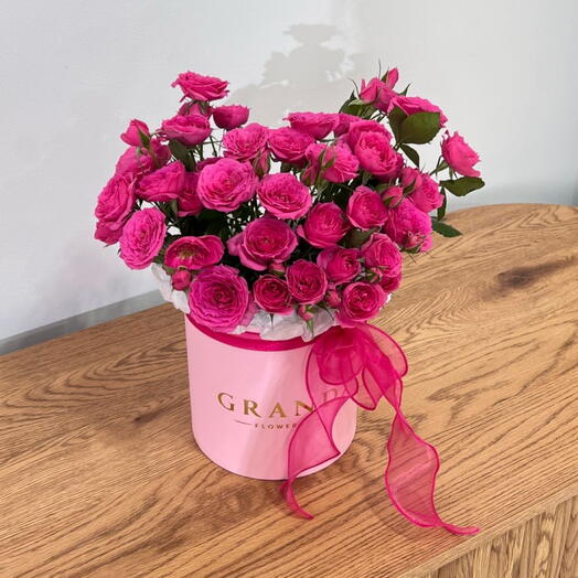 Софи в коробке