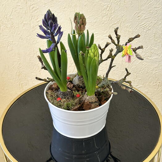 Кашпо с гиацинтами и божьими коровками