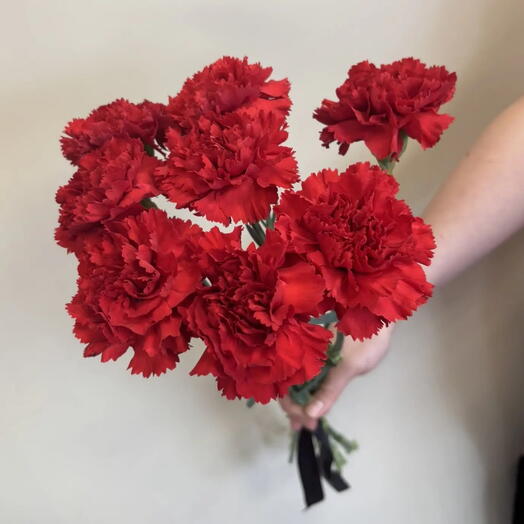 8 красных гвоздик