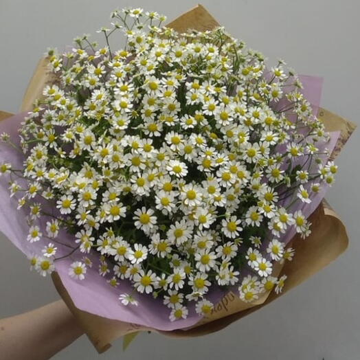 Чудесный летний большой букет кустовых ромашек